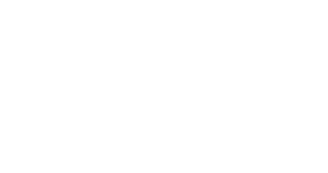 GVM-DLS-logo